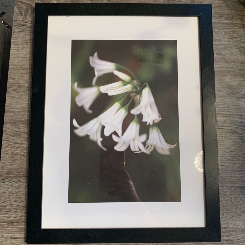 Framed artwork